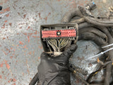 2005 Freightliner Columbia 120 Wiring Harness, FIREWALL TO ECM